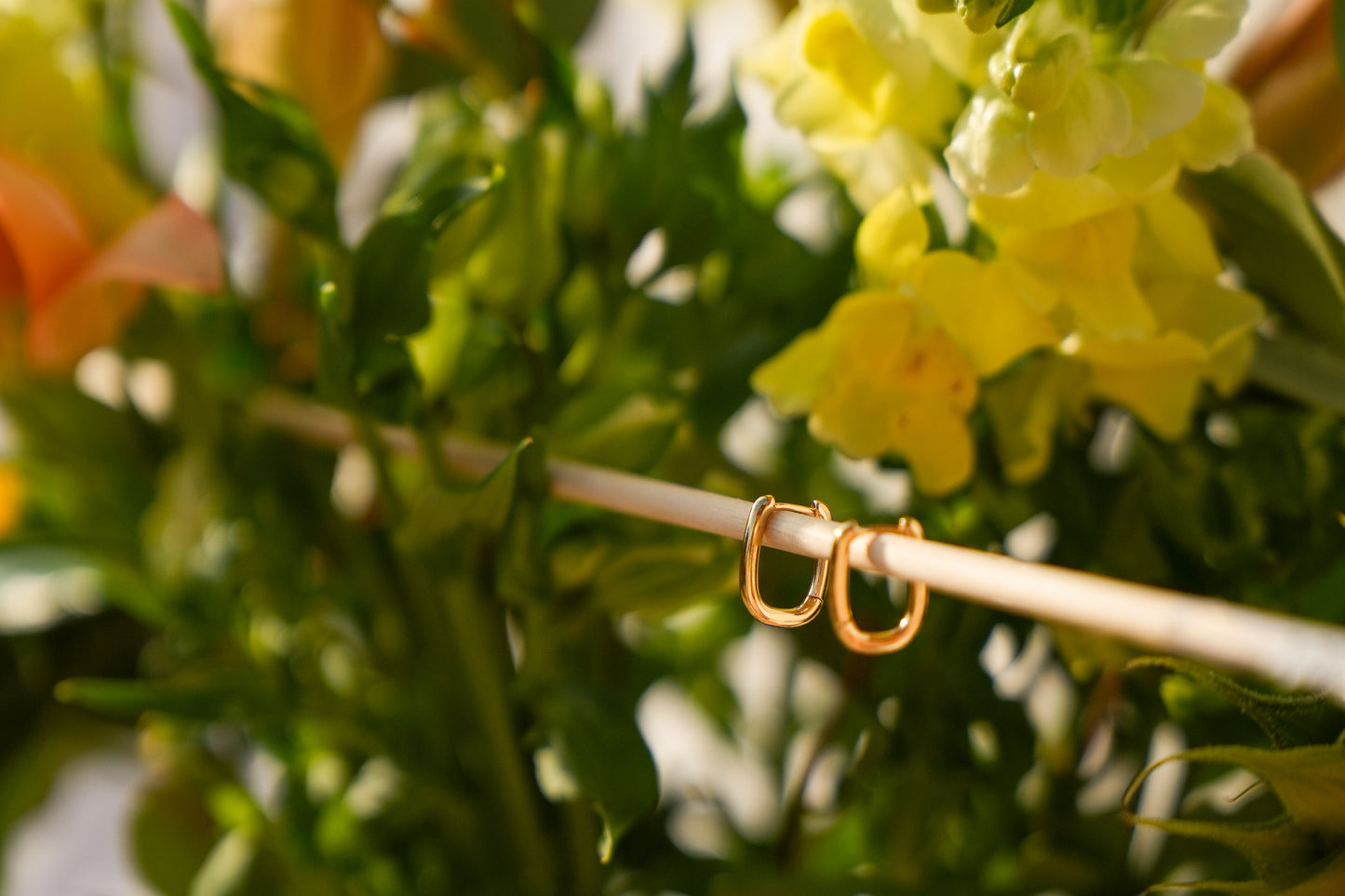 Gold Oval Hoop Earrings